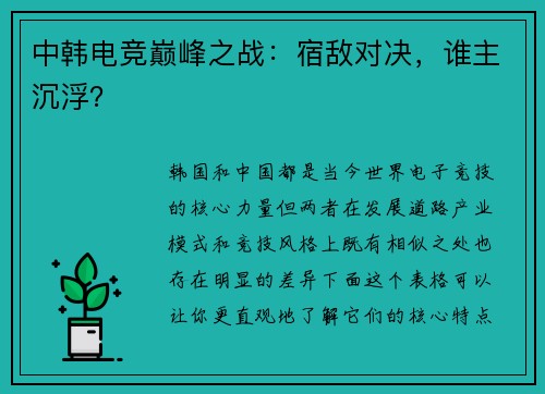 中韩电竞巅峰之战：宿敌对决，谁主沉浮？